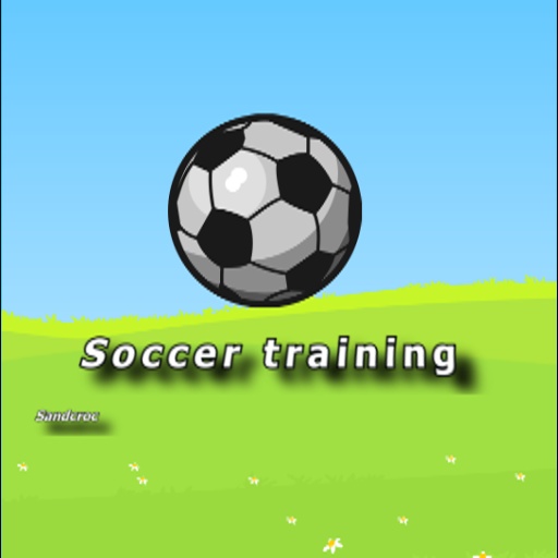 Soccer training